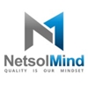logo netsolmind